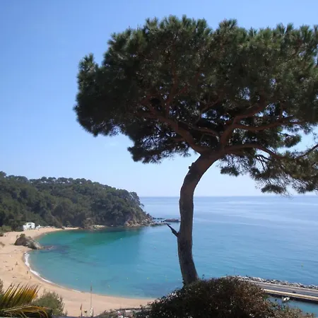 Petra Villa Lloret de Mar